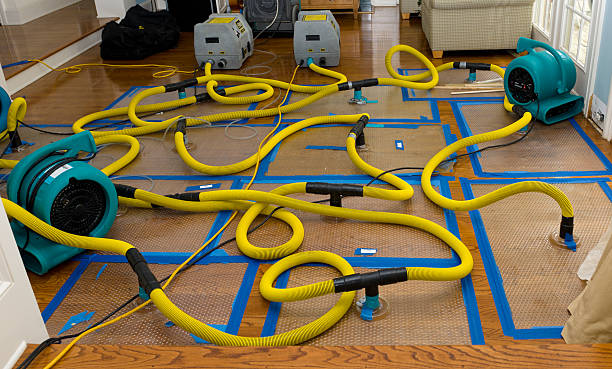 Professional Basement Flood Cleanup technician working in Jonesport, ME
